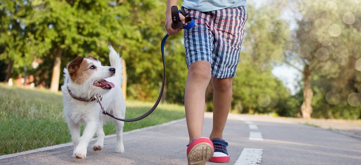 primer año cachorro