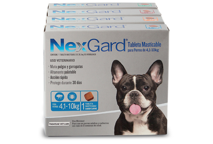 nexgard masticable