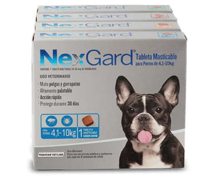 nexgard perros