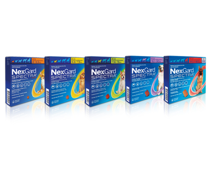 Nexgard Spectra brand packaging